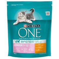 Purina ONE Junior Chicken & Whole Grains Dry Cat Food - Economy Pack: 4 x 800g