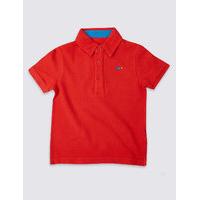 Pure Cotton Polo Shirt