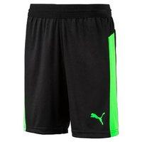 Puma IT Evo Training Shorts - Youth - Black/Green Gecko