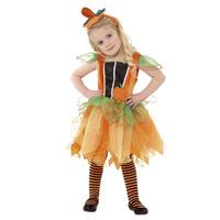 Pumpkin Fairy Costume