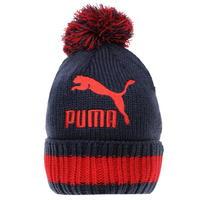 Puma Word Beanie Hat Mens