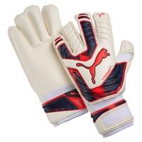 puma evopower grip 2 gc goalkeeper gloves white