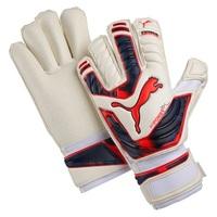 Puma evoPOWER Protect 2 GC Goalkeeper Gloves White