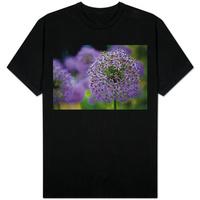 Purple Allium Flowers Photo