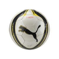 Puma King (fifa Approved) Match Ball