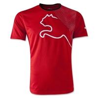 Puma King It Graphic Tee (red)