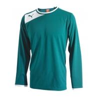 Puma Powercat 5.12 LS Teamwear Shirt (green)