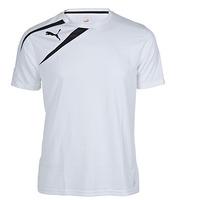 Puma Spirit Training Tee (white)