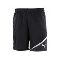 Puma Training Shorts (navy)