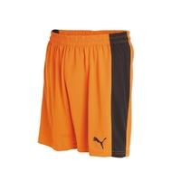 Puma Powercat Shorts (orange)