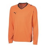 Puma Powercat 5.10 LS Teamwear Shirt (orange)