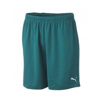 Puma Vencida Team Shorts (green)