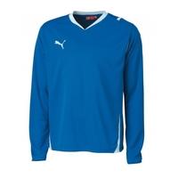 Puma Powercat 5.10 LS Teamwear Shirt (blue)