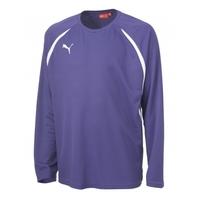 Puma Vendica LS Teamwear Shirt (purple)