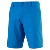 Puma Mens Essential Pounce Shorts