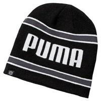 Puma Stripe PWRWARM Beanie