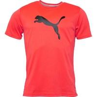 Puma Mens Essential DryCELL Poly Training Top Red Blast