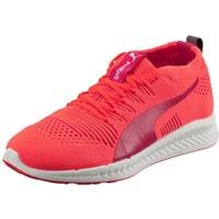 Puma Ignite Proknit Women fluo peach/white/white