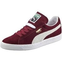 Puma 352634 Sneakers Man Bordeaux men\'s Shoes (Trainers) in red