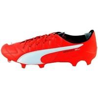 Puma Evospeed FG men\'s Football Boots in multicolour