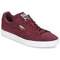 Puma SUEDE CLASSIC + men\'s Shoes (Trainers) in red