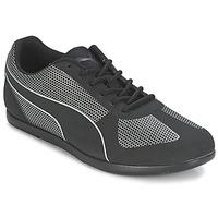 Puma MODERN SOLEIL women\'s Shoes (Trainers) in black