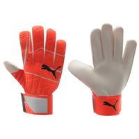 puma evo speed 54 goal keeper gloves