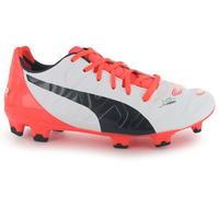 puma evopower 22 mens fg football boots