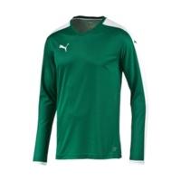 Puma Football Longsleeve Jersey power green/white