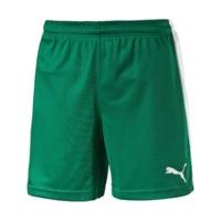 puma football shorts power greenwhite