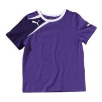 Puma Spirit Training Tee