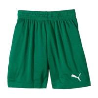 Puma Velize Shorts green