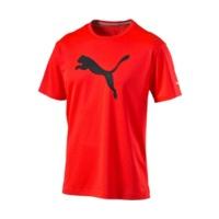 Puma Trainings T-Shirt red blast/black (512722-32)