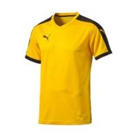 Puma Pitch Jersey Junior team yellow/black