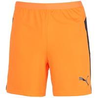 Puma Evo Train Shorts Mens