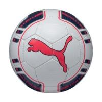 Puma evoPOWER 5 Futsal