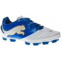 Puma PowerCat 4.12 r HG Jr