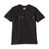 Puma BVB 09 T-Shirt Men grey