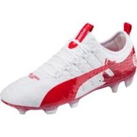 Puma evoPOWER Vigor 1 Giroud DF ...