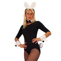 PVC Bunny Set