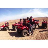 Quad Biking and Camel Ride Guided Day Trip from Marrakech