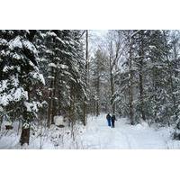 Quebec Ski-Shoeing Excursion