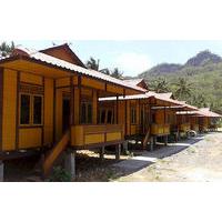 Queen Of The South Resort