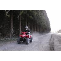 Quad Bike Thrill