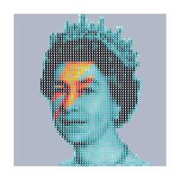 Queen Ziggy By Mike Edwards