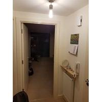 Quiet and homely room available