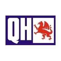 Quinton Hazell BFH5413 Brake Hose