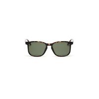 quay australia sunglasses qu 000154 the oxford tortgrn