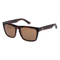 quiksilver sunglasses eqyey03016 xccc