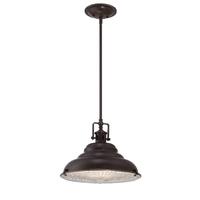 QZ/EASTVALE/P/M Eastvale 1 Light Ceiling Pendant Light